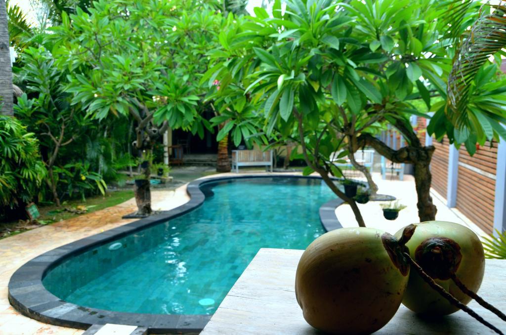 Отель Coconut Dream Гили Траванган Экстерьер фото